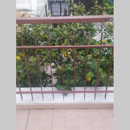 شقة Appto Limone ليدو دي أوستيا المظهر الخارجي الصورة