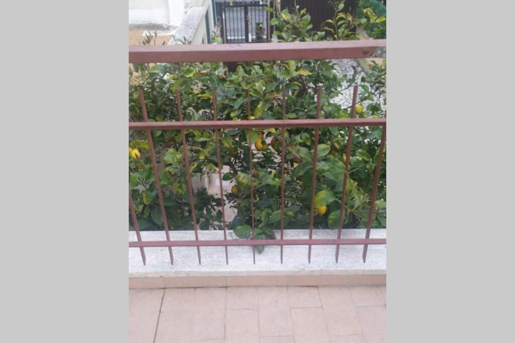 شقة Appto Limone ليدو دي أوستيا المظهر الخارجي الصورة